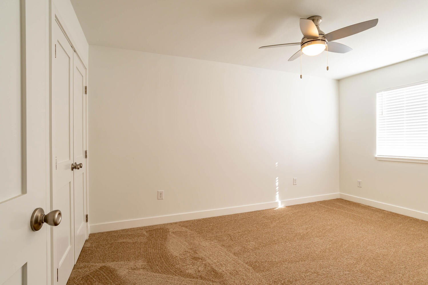 Interior view 8 of New Park